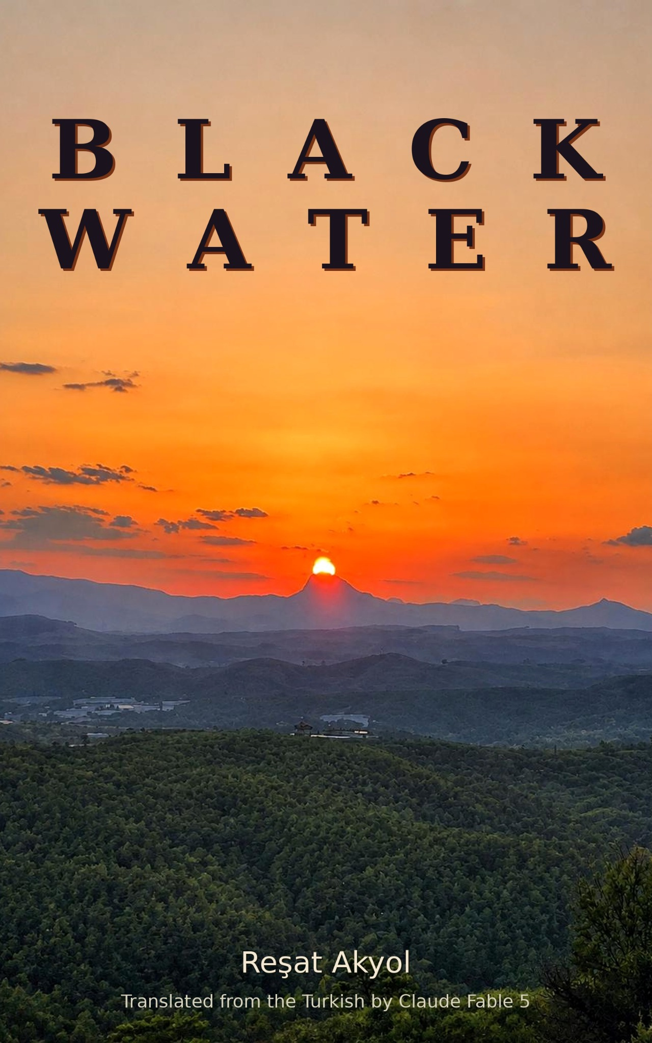 Black Water book cover
